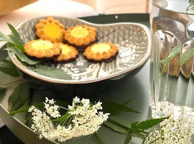 Hygge Monte Cassino 4 Apartment